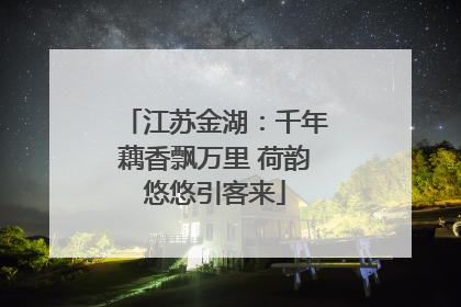 江苏金湖：千年藕香飘万里 荷韵悠悠引客来